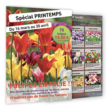 Personnaliser et commander Flyer 9 annonces pour offre de fleurs et plantes