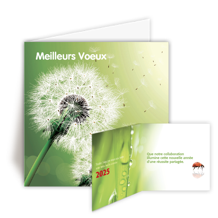Personnaliser et commander Carte de Voeux 2025 Bonne Anne Solidaire