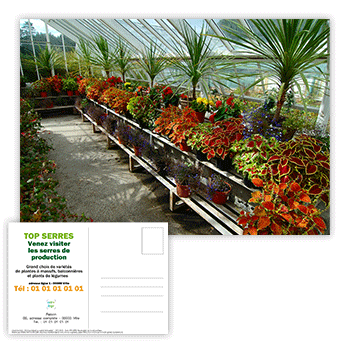 Personnaliser et commander Carte postale promotion jardins et plantes