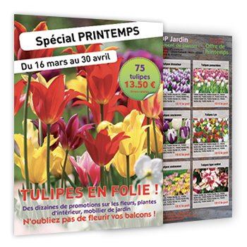 Personnaliser Flyer 9 annonces pour offre de fleurs et plantes