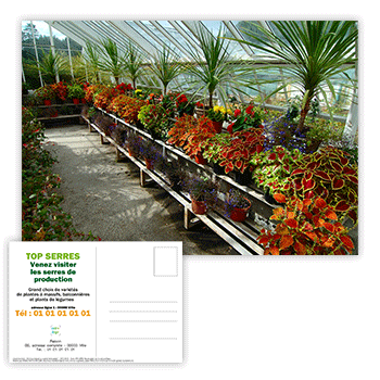 Personnaliser Carte postale promotion jardins et plantes