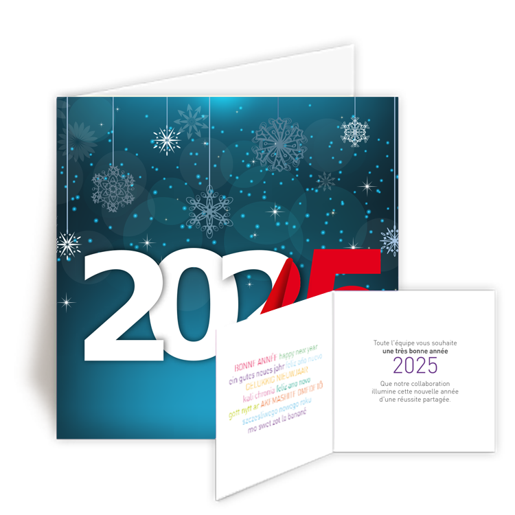 Personnaliser Carte de Voeux 2025 Destructur