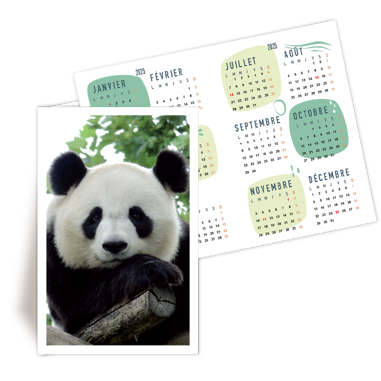 Personnaliser Calendrier de Poche 2025 nature 2 photos  personnaliser