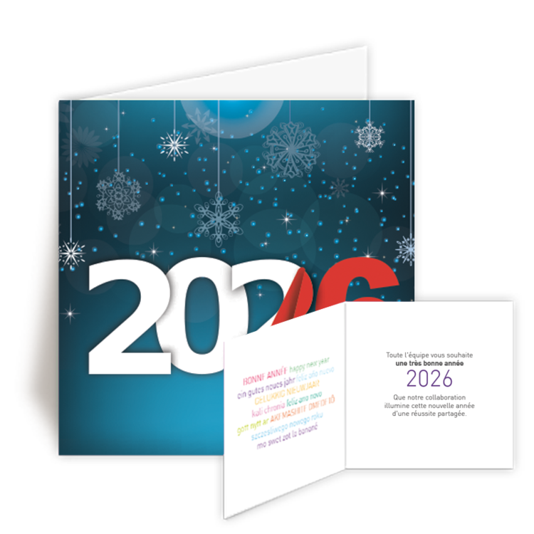 Personnaliser Carte de Voeux 2026 Destructur