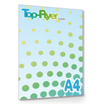 Catalogue de A4 fichier PDF (21x29,7)