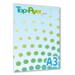 A3 fichier PDF (29,7x42)